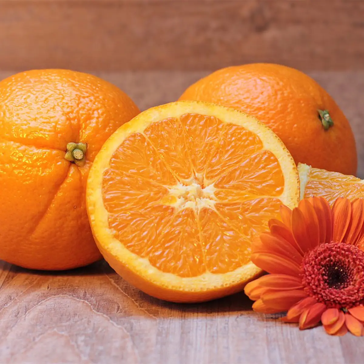 Células madre de naranja Células madre de naranja